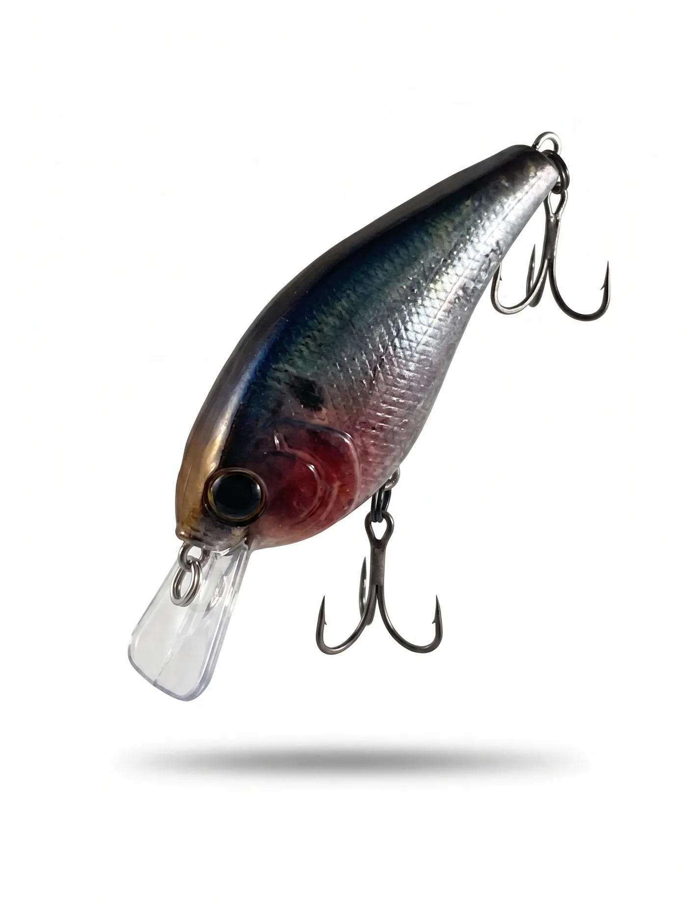 Nasty Lure Company bait 13