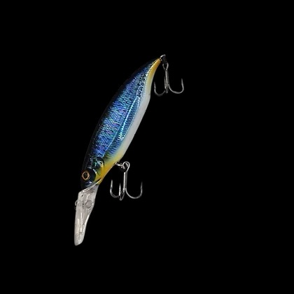 Nasty Lure Company bait 8